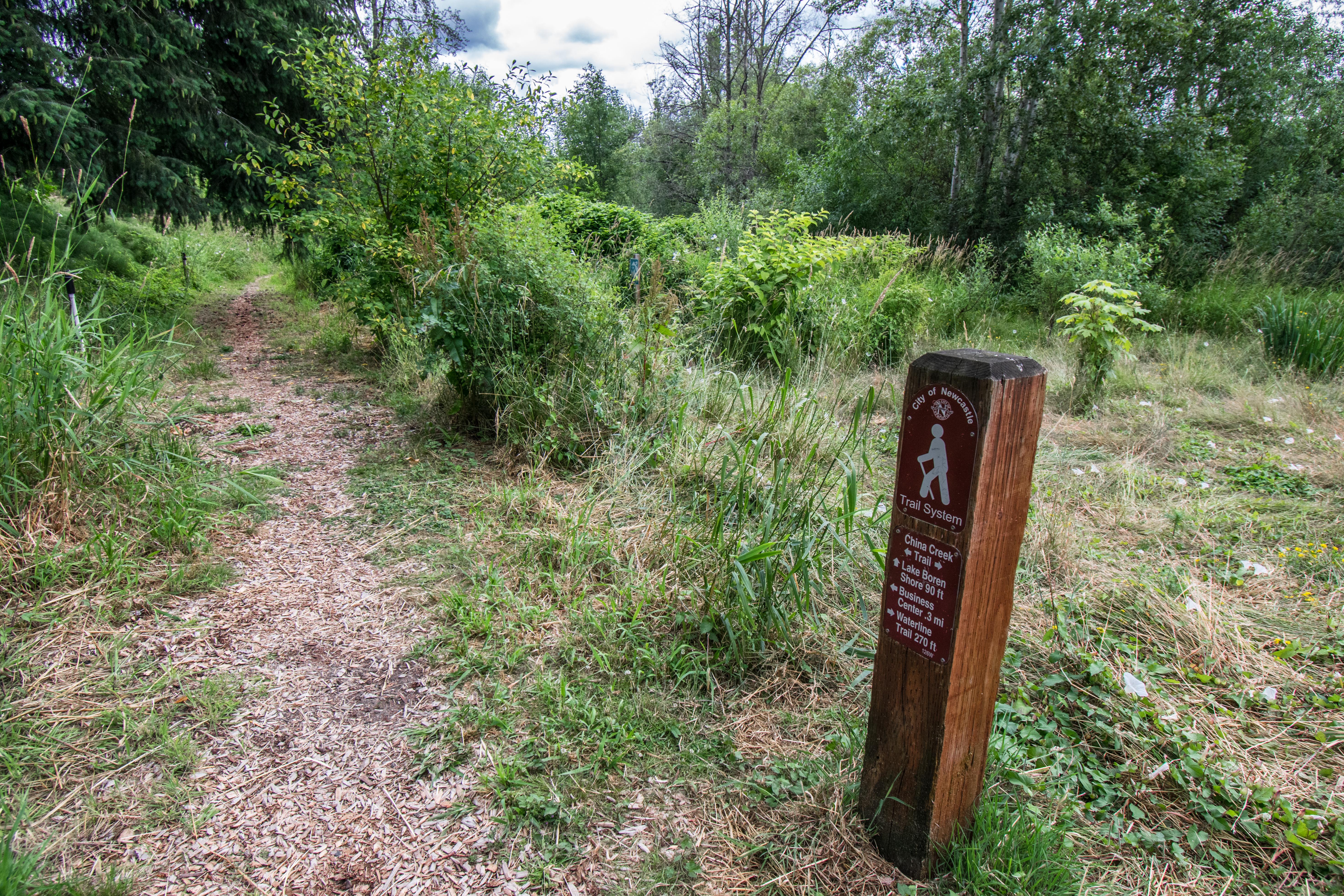 ../images/trails/china_creek//12 Junction with overgrown Access Trail to Lake Boren Shore.jpg